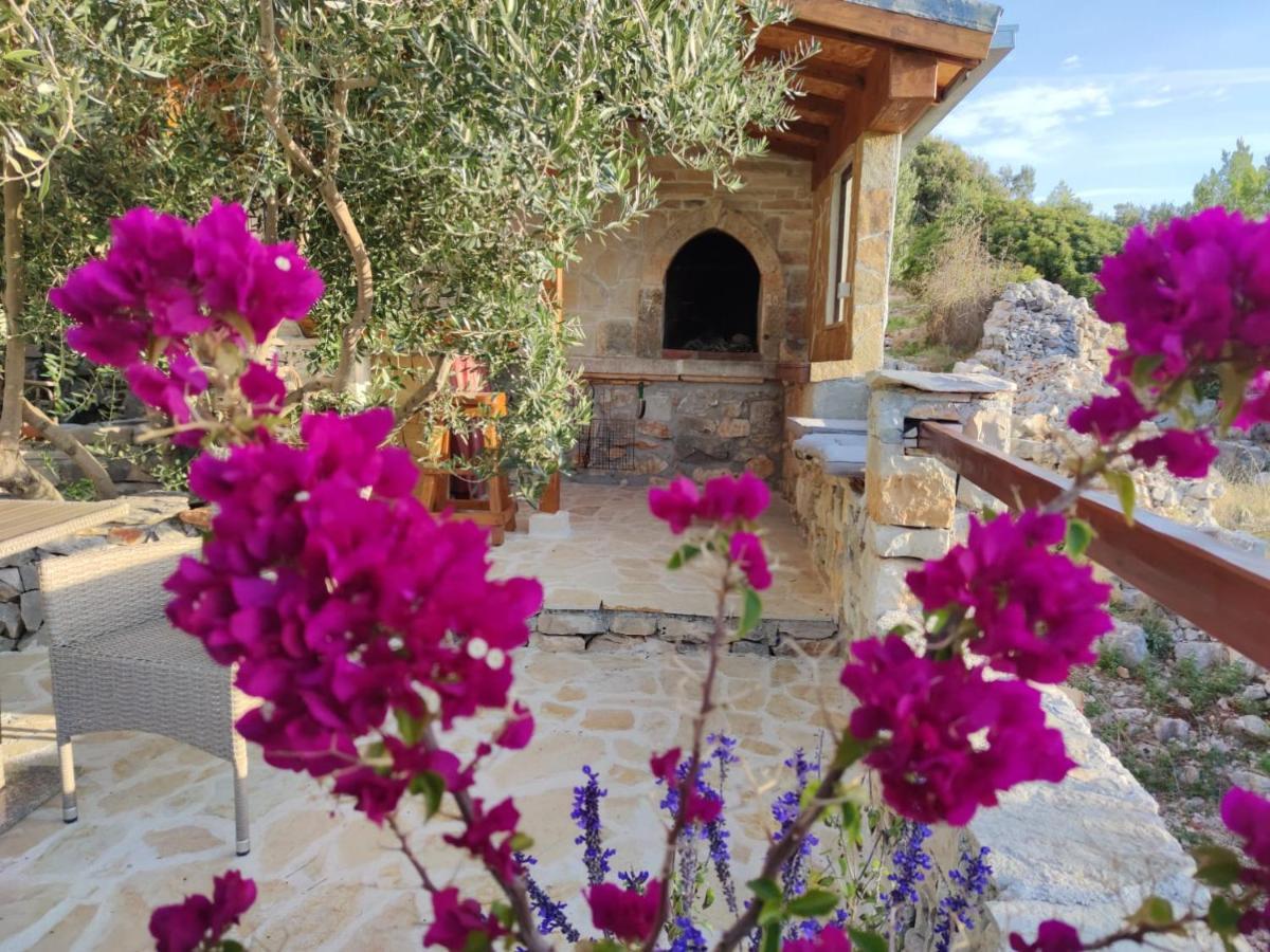 Vacation House Milka มิลนา ภายนอก รูปภาพ
