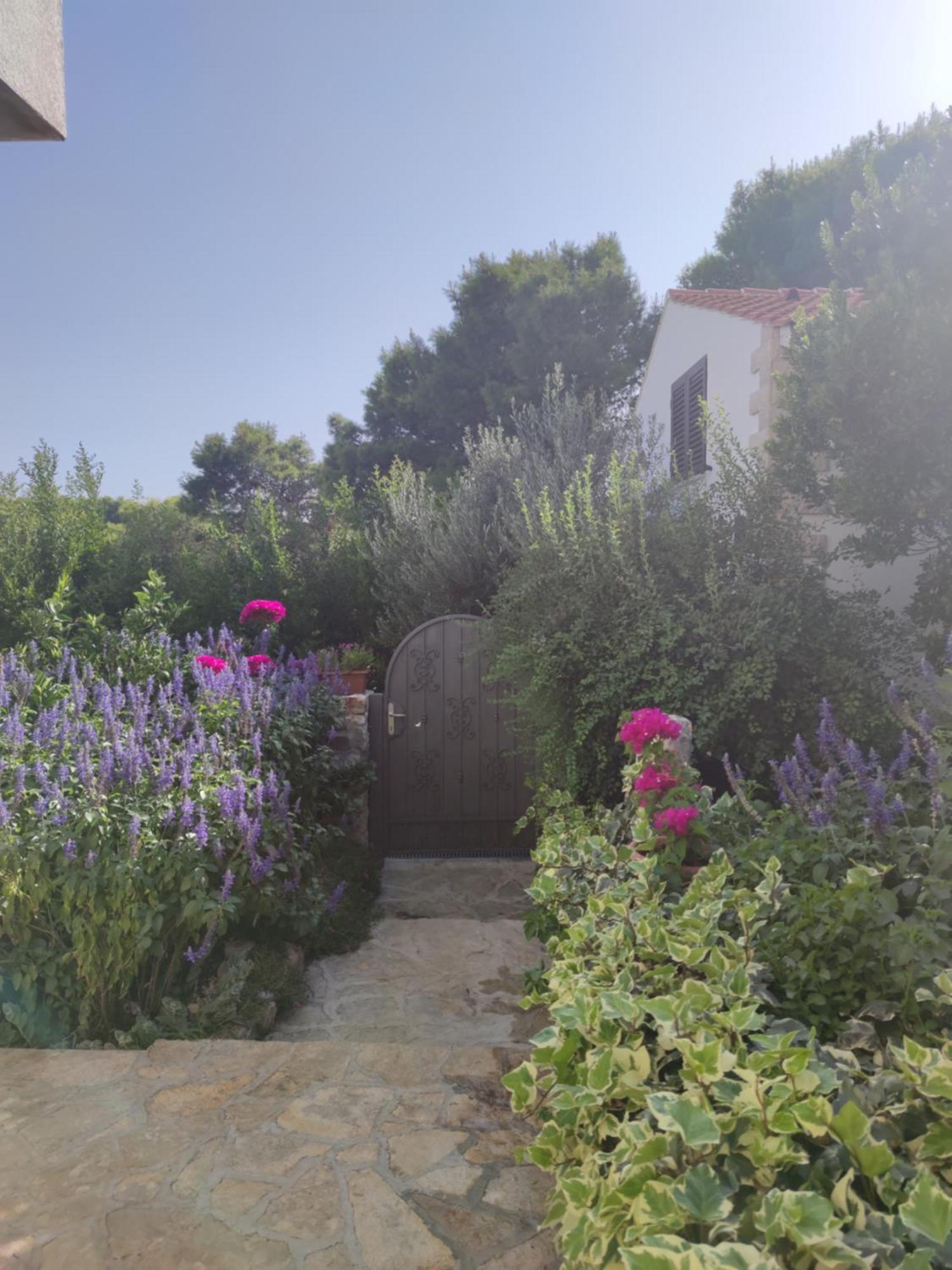 Vacation House Milka มิลนา ภายนอก รูปภาพ